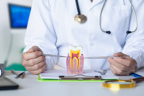 Best Emergency Tooth Extraction  in Sissonville, WV